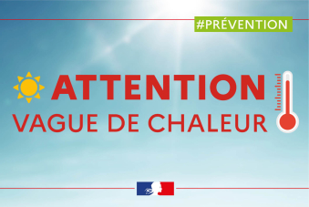 Canicule : Quelles sont les obligations des employeurs pour protéger leurs salariés ?