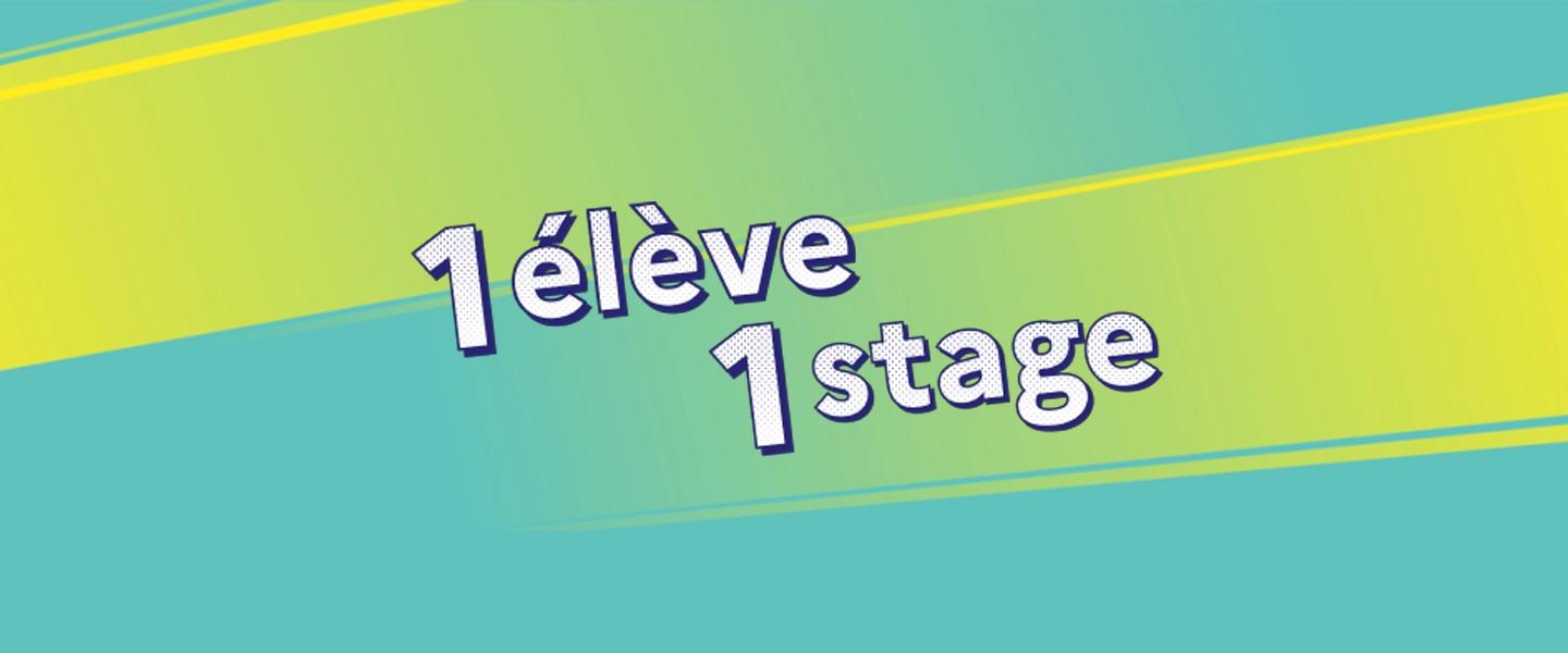 Stages de découverte : une immersion au cœur des métiers pour les élèves de 4e, 3e et Seconde